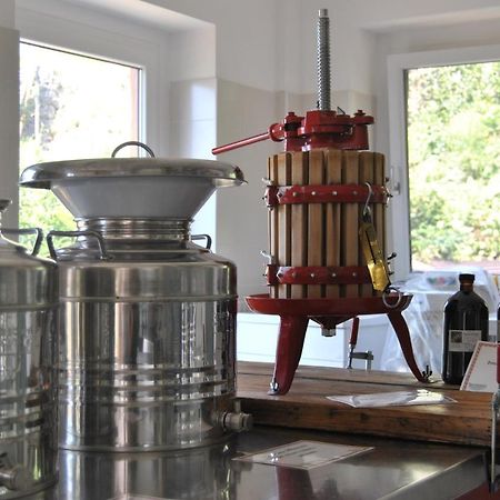 Ca' Dei Fazzilisti Bed & Breakfast โมรี ภายนอก รูปภาพ
